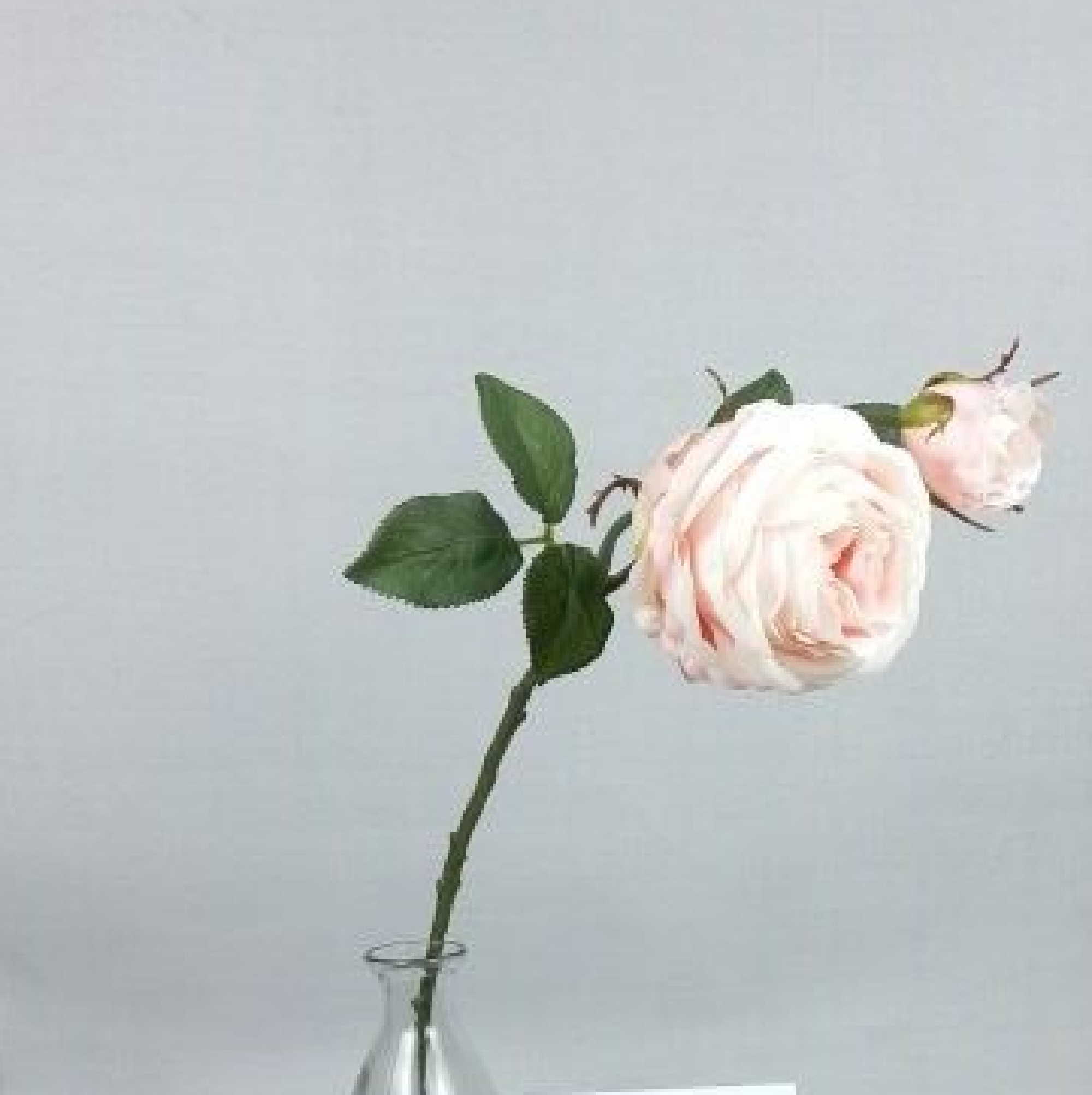 54CM ROSE SPRAY X 2 WITH LEAVES