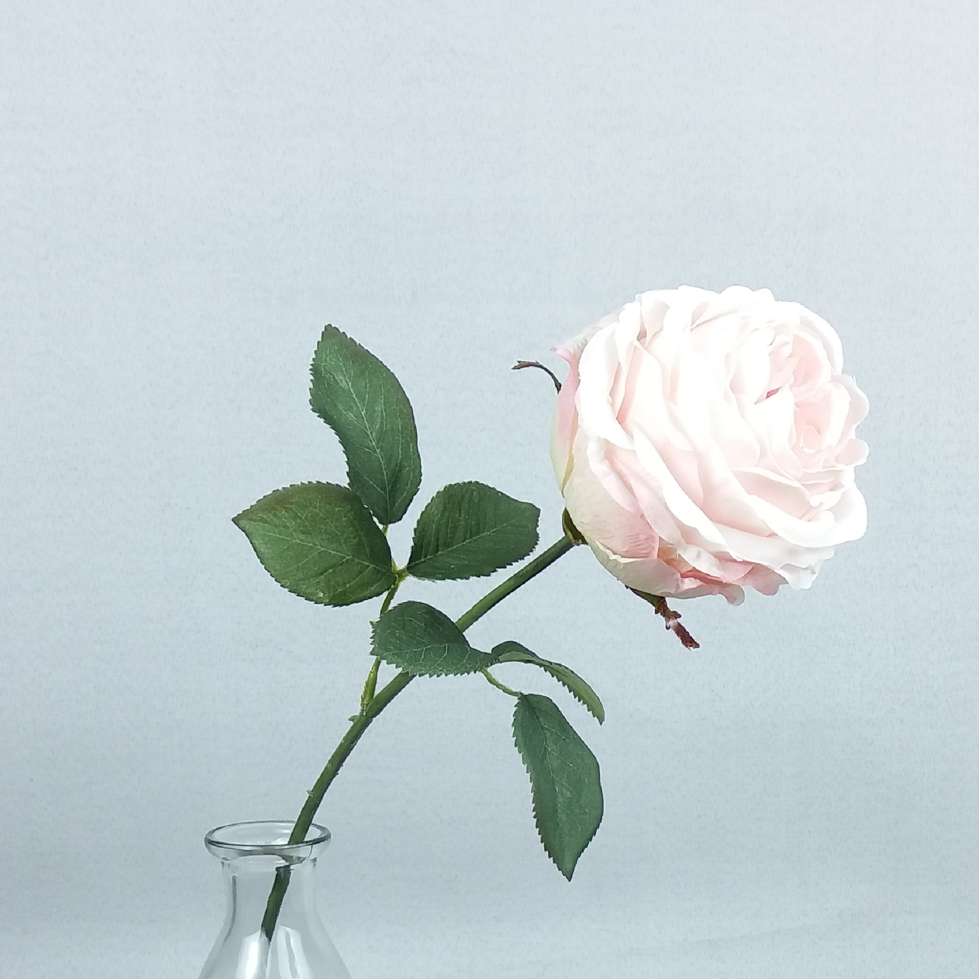 41CM ROSE SPRAY X 1 WITH LEAVES